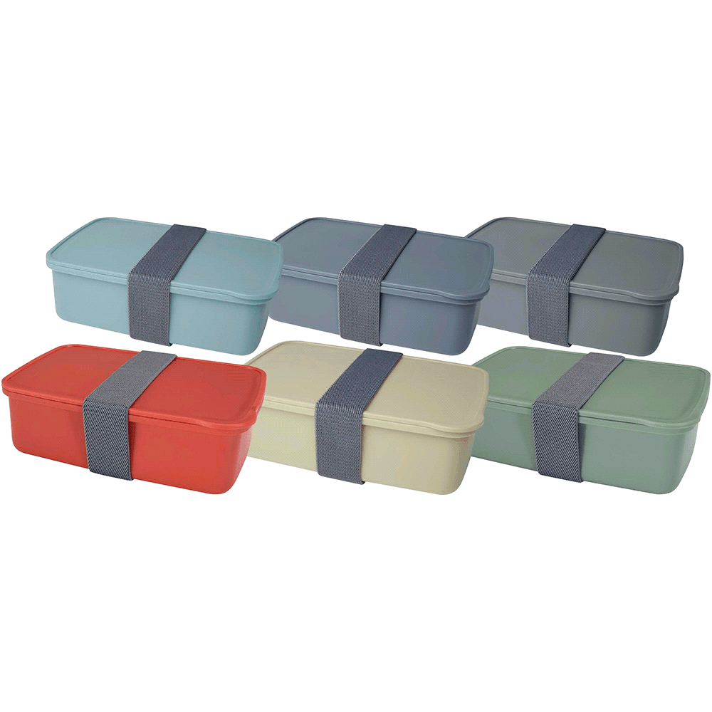 Seasons Dovi 800 ml Lunch Box