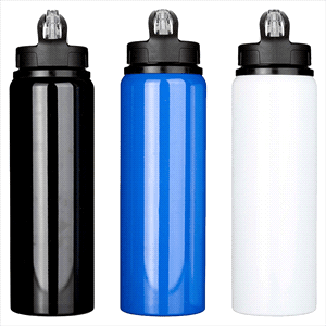 Fitz Recycled Stainless Steel Drink Bottle 800ml