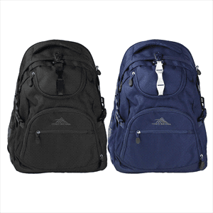 High Sierra Access Light Backpack