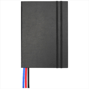 JournalBook Alder 365 Page Diary