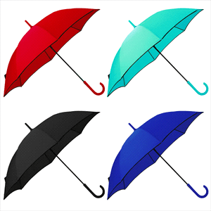 Auto Open Colourised Fashion Umbrella