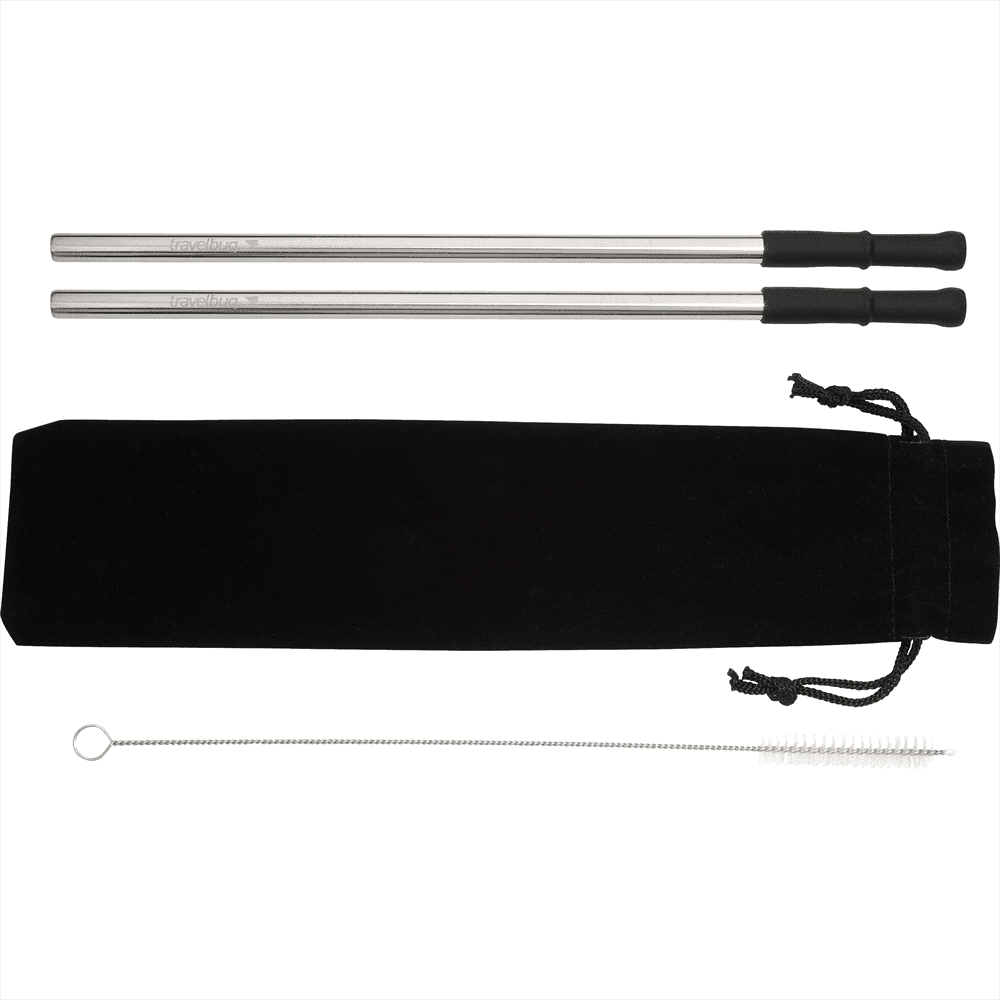 Reusable Stainless Steel Straw Set w/ Brush