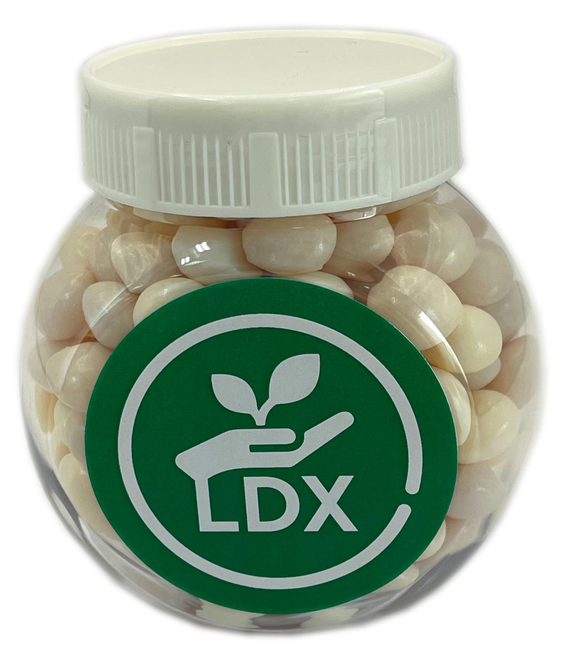 Plastic Jar with Chewy Mints 170g